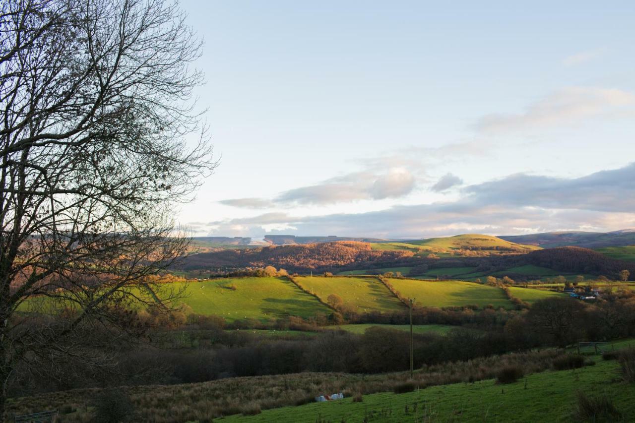 Villa Owl Barn At Penygaer Great Views Of Brecon Beacons Llandovery Exterior foto